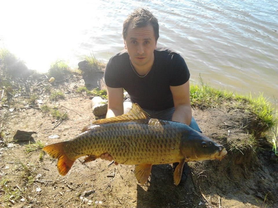 How to Behave When Fish Hits Fishing Rod How to Behave When Fish Hits Fishing Rod