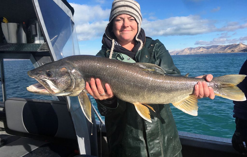 Recent Regulations Regarding Amateur Fishing Recent Regulations Regarding Amateur Fishing