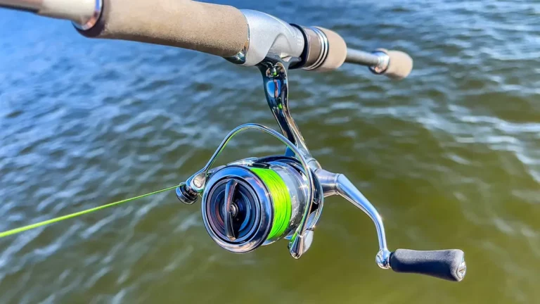 Buying Guide: Choosing The Best Fishing Reels Buying Guide: Choosing The Best Fishing Reels
