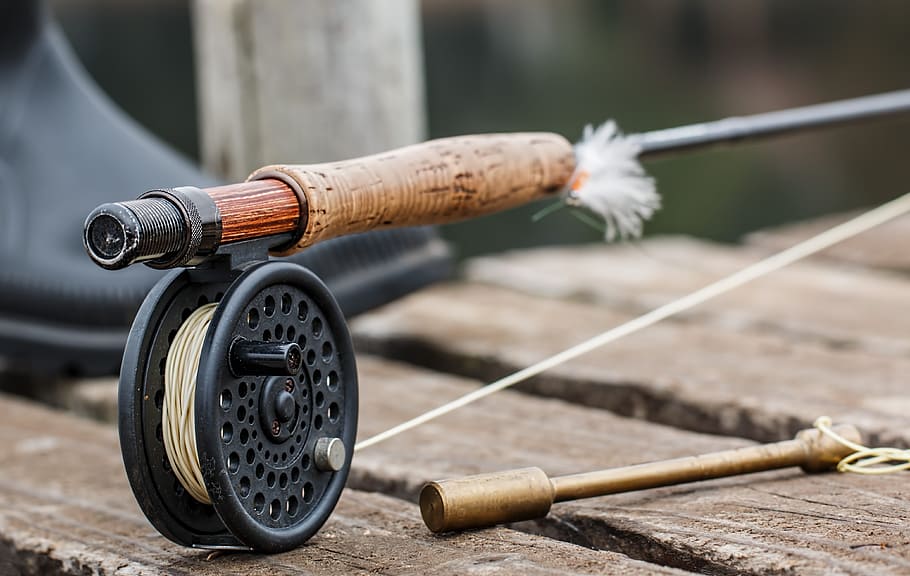 Best Fishing Rods for Beginners: A Comprehensive Guide Best Fishing Rods for Beginners: A Comprehensive Guide