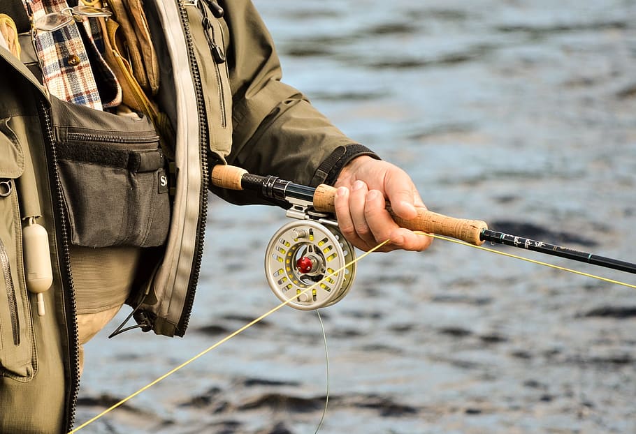 Best Fishing Rods for Beginners: A Comprehensive Guide