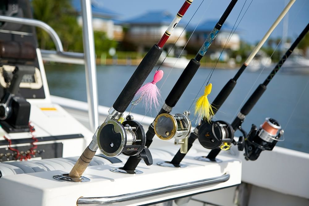 Best Types Of Fishing Rod Racks Best Types Of Fishing Rod Racks