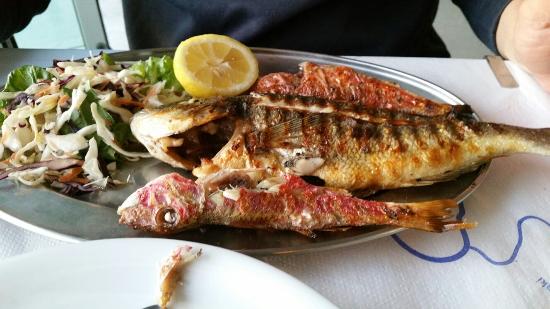 Best Fishing Adventures Near Me In UK Best Fishing Adventures Near Me In UK