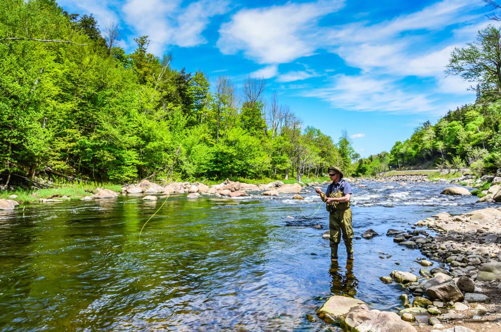 Fly Fishing Near Me Best Place In New York