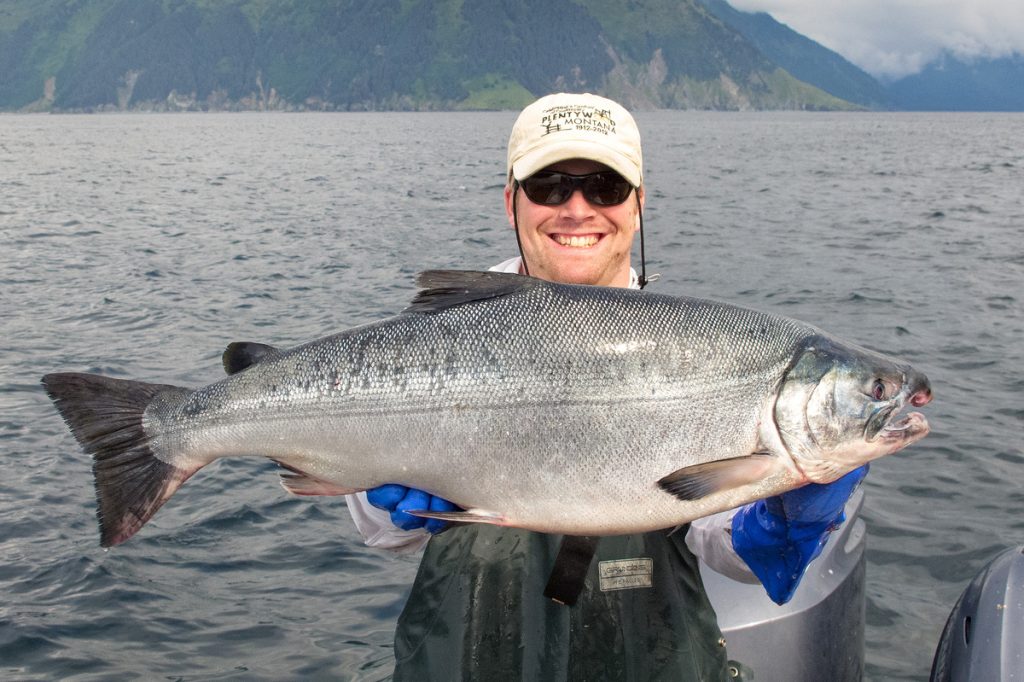 Kenai River Fish Counts