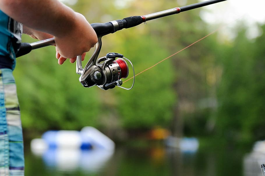 Best Fishing Poles For Bass For Beginners Best Fishing Poles For Bass For Beginners