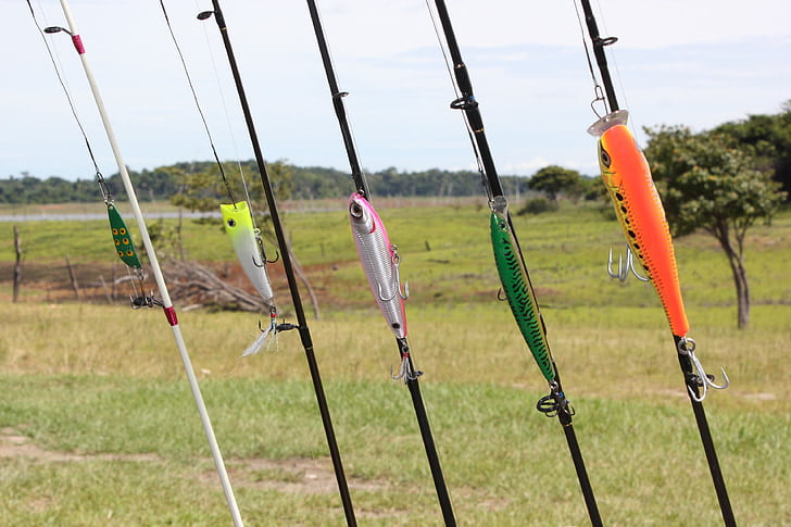 Lots Of Great Fishing Tips To Help You Out Lots Of Great Fishing Tips To Help You Out