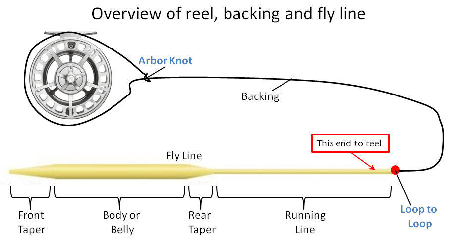 What Is A Fly Fishing Tippet Ring What Is A Fly Fishing Tippet Ring
