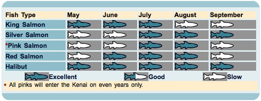 Kenai River Fish Counts