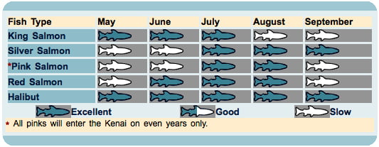 Kenai River Fish Counts Kenai River Fish Counts