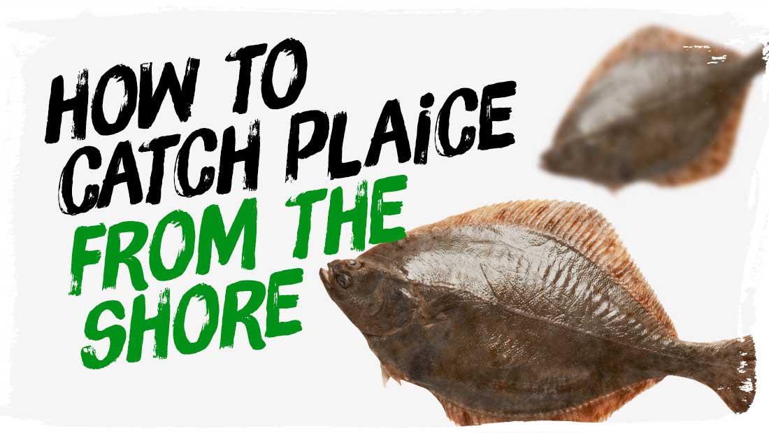 How To Catch Plaice From The Shore (UK Guide)