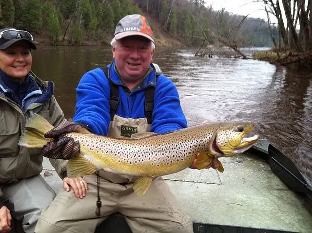 Fly Fish Arkansas The Best Spots for Anglers to Cast Their Lines