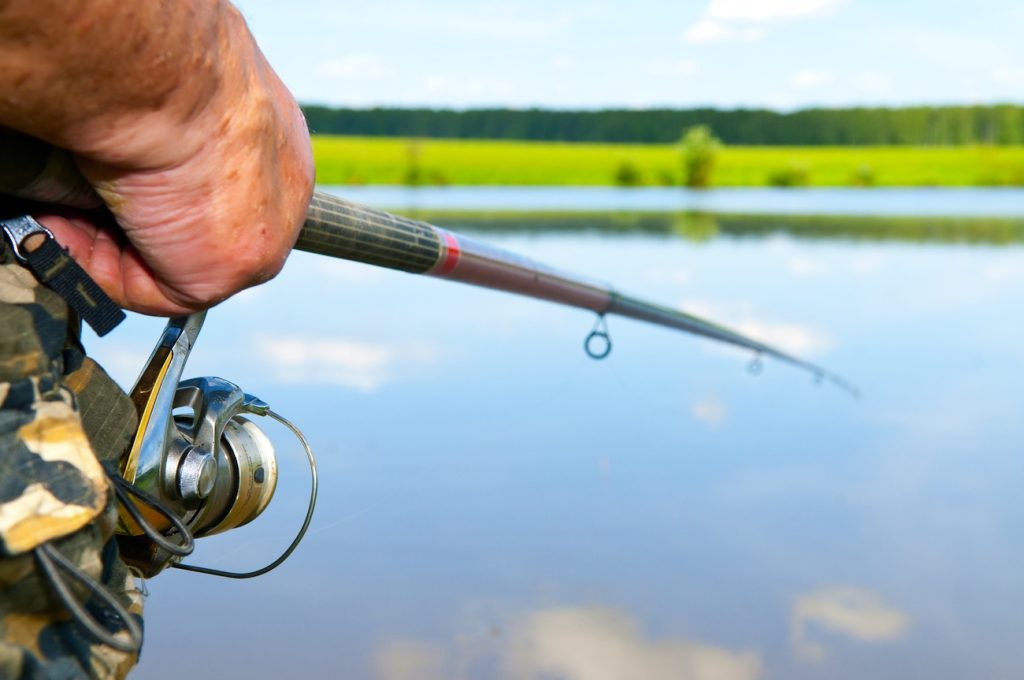 5 Reasons You Need More Fishing in Your Life