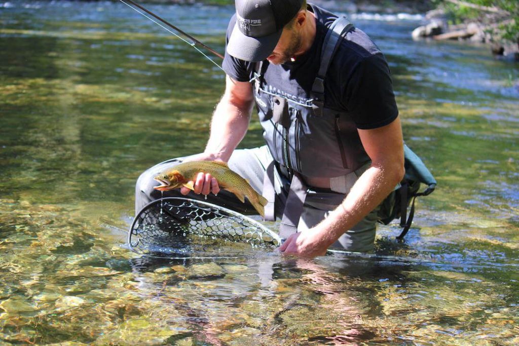 Simms Vs Patagonia Waders: G3 Vs Swiftcurrent Comparison Simms Vs Patagonia Waders: G3 Vs Swiftcurrent Comparison