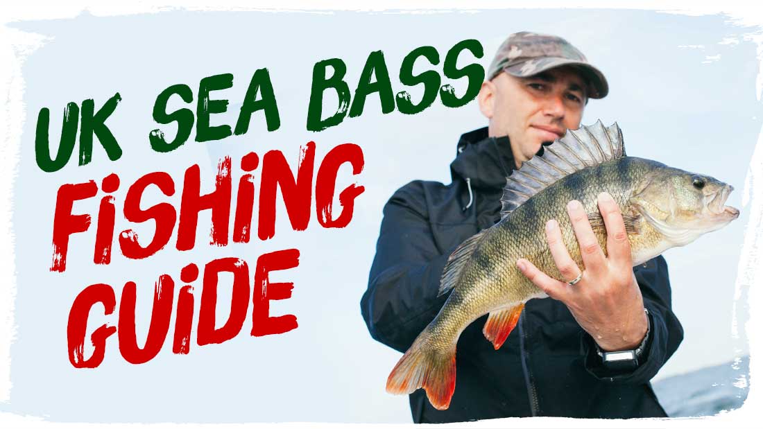 Sea Bass
