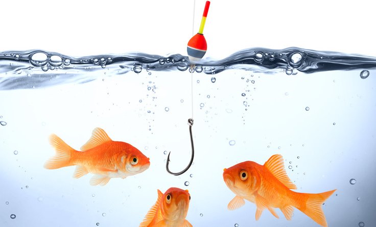 Fish Not Biting-Increase Your Luck With These Tips Fish Not Biting Increase Your Luck With These Tips