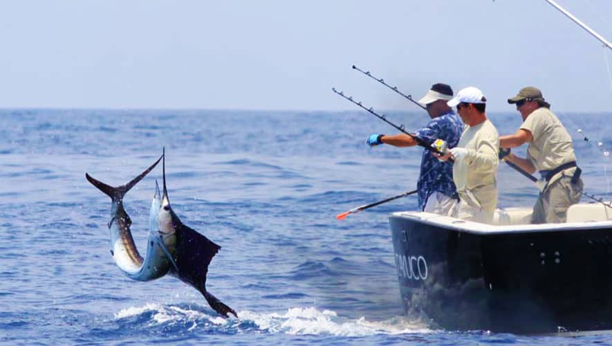 Deep Sea Fishing For The First Time Deep Sea Fishing For The First Time