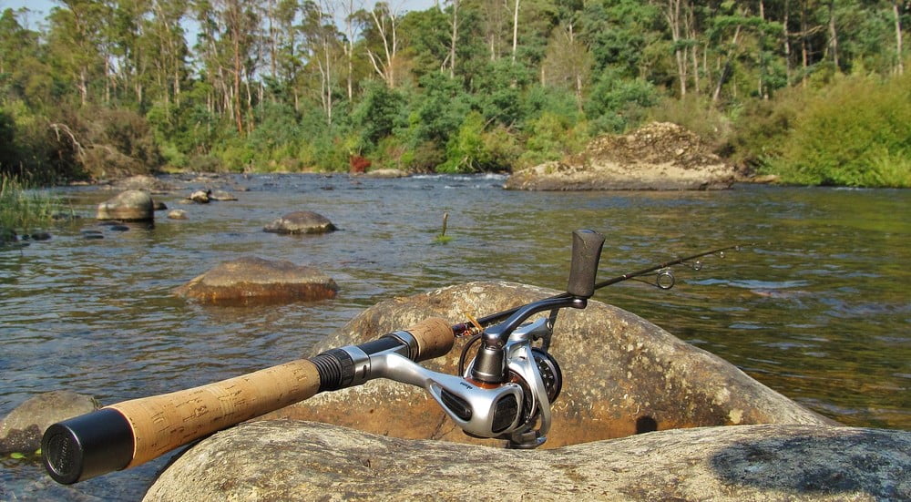 Top Best Trout Fishing Gears Top Best Trout Fishing Gears