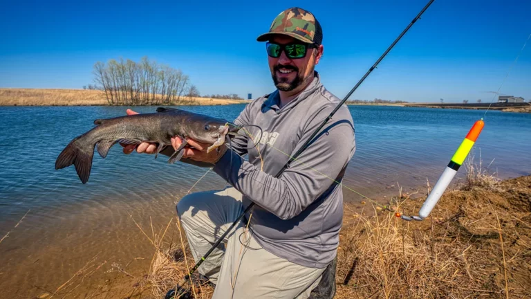 Having Trouble Catching Fish Then Read On For Some Great Tips Having Trouble Catching Fish Then Read On For Some Great Tips