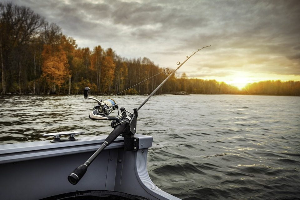Want To Improve Your Fishing Skills