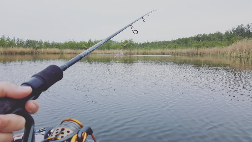Want To Improve Your Fishing Skills Want To Improve Your Fishing Skills