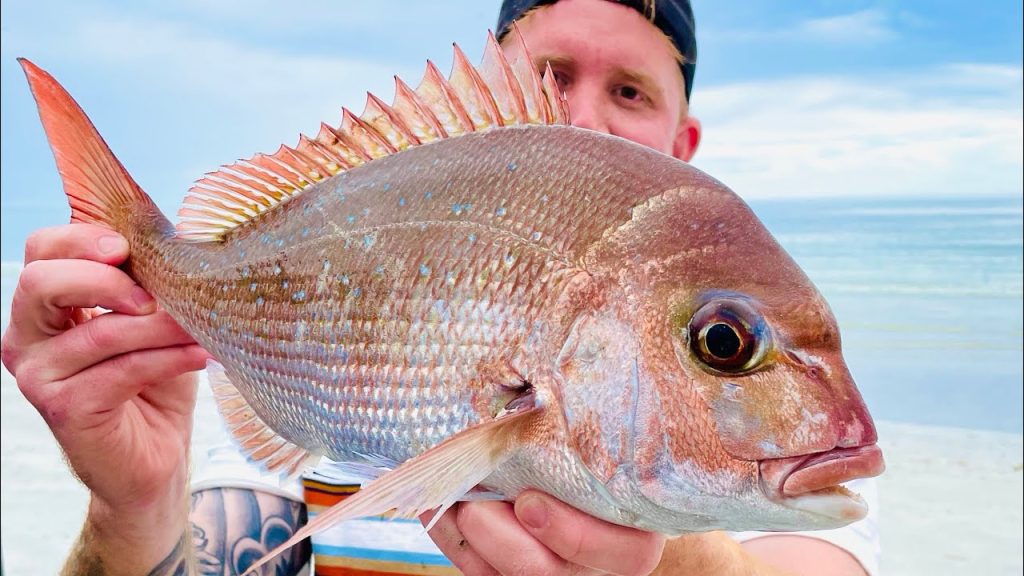 Best Surf Fishing Rigs For Beginners: Your Ultimate Guide