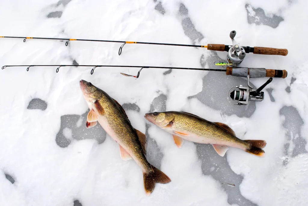 Best Trolling Rod For Walleye Buyer's Guide And Tips