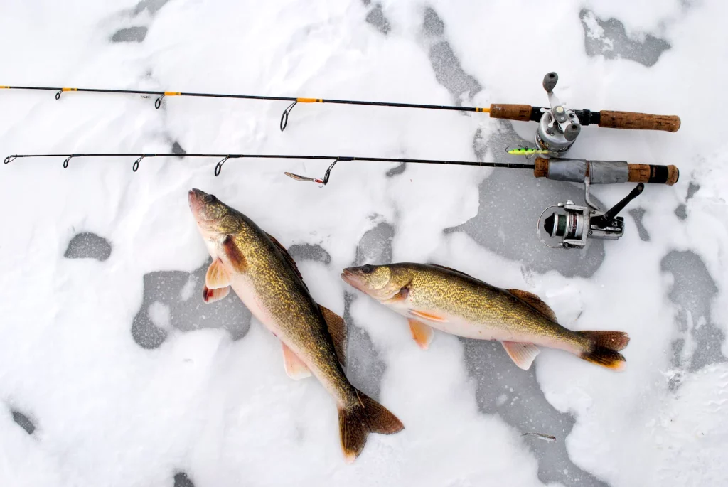 Best Trolling Rod For Walleye Buyer's Guide And Tips Best Trolling Rod For Walleye Buyer's Guide And Tips