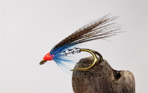 Fly Fishing Bait: The Best Options for Catching Trout Fly Fishing Bait: The Best Options for Catching Trout