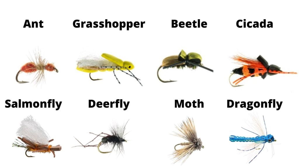 Fly Fishing Bait: The Best Options for Catching Trout Fly Fishing Bait: The Best Options for Catching Trout