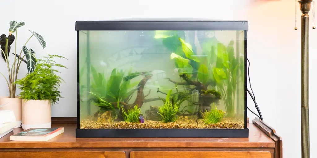 Fish House Supply Review Fish House Supply Review