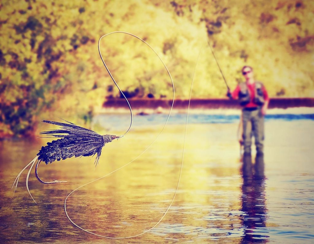 Best Fly Fishing Setup For Beginners Guide Best Fly Fishing Setup For Beginners Guide