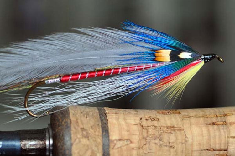 Fly Fishing Bait: The Best Options for Catching Trout Fly Fishing Bait: The Best Options for Catching Trout