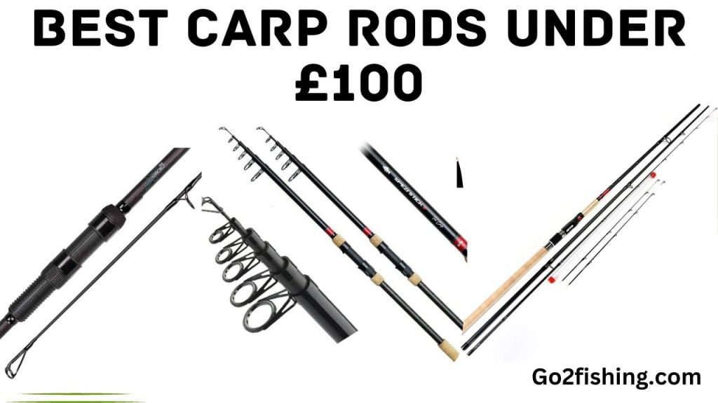 Best Carp Rods Under £100: Top Picks For Budget Anglers Best Carp Rods Under £100: Top Picks For Budget Anglers