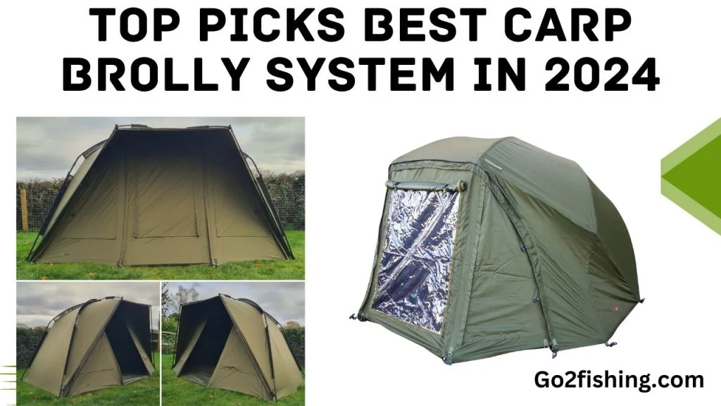 Top Picks Best Carp Brolly System In 2024 Top Picks Best Carp Brolly System In 2024